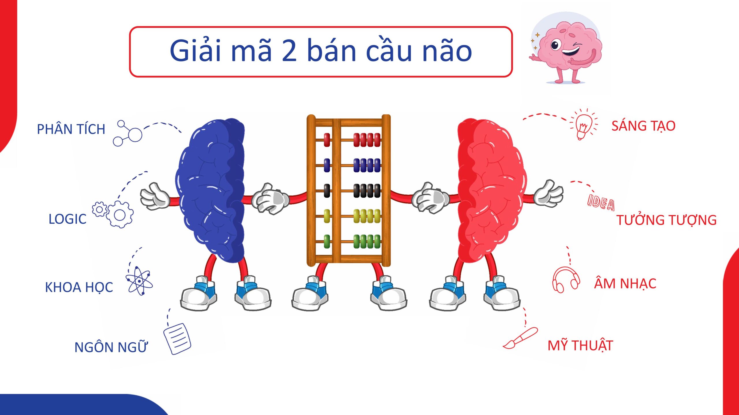 Tại sao phát triển cân bằng hai bán cầu não lại quan trọng?