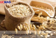 13 loại thức ăn tăng khả năng tập trung